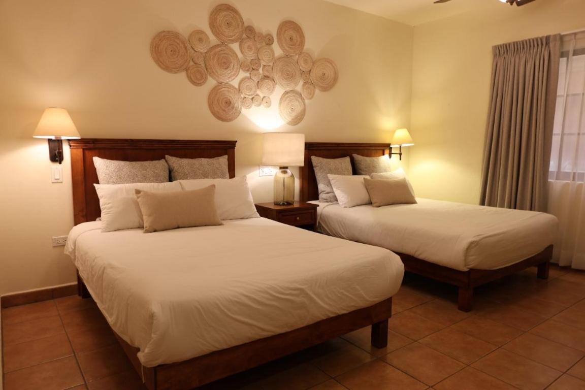 Hotel Colli San José del Cabo Exteriér fotografie