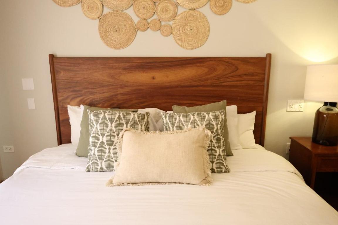 Hotel Colli San José del Cabo Exteriér fotografie