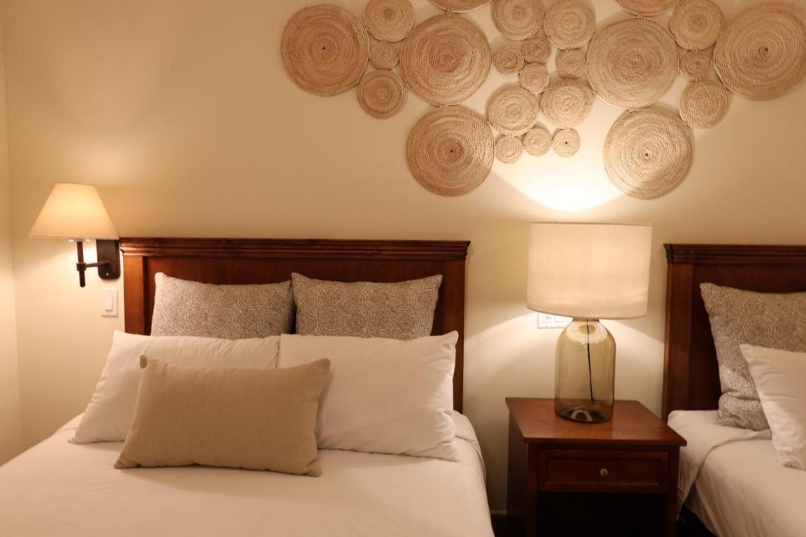 Hotel Colli San José del Cabo Exteriér fotografie